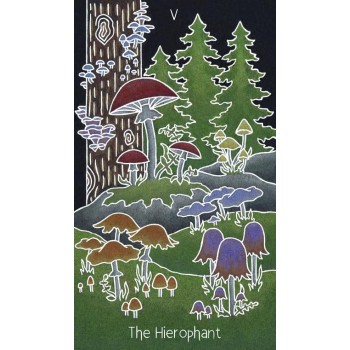 the Animystic Tarot kortos Schiffer Publishing